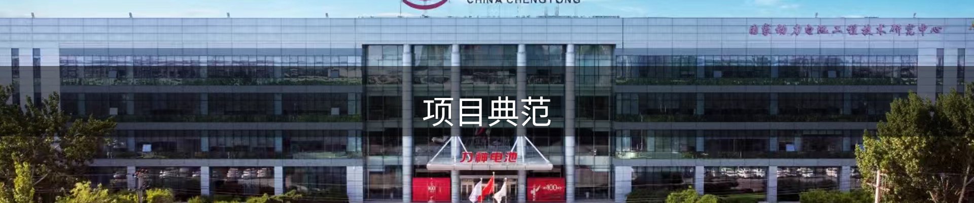 项目典范